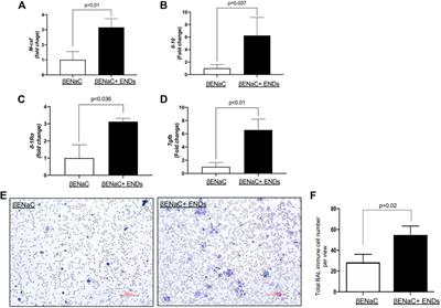 Electronic Cigarette Exposure Enhances Lung Inflammatory and Fibrotic Responses in COPD Mice